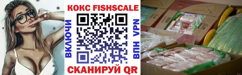 Кокаин FishScale  как найти закладки  mega ссылка  Холм 