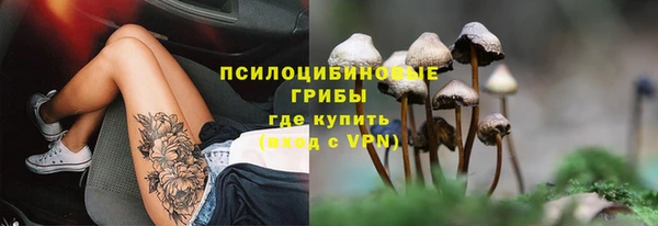 прущая мука Няндома