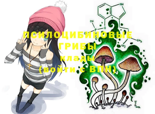 apvp Нязепетровск