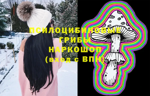 прущая мука Няндома