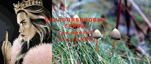 apvp Нязепетровск