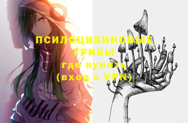 apvp Нязепетровск