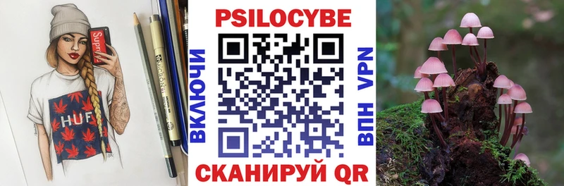 kraken ONION Холм Галлюциногенные грибы Psilocybe